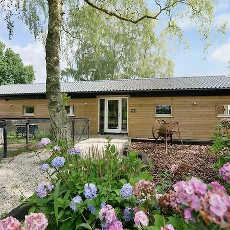 Bos En Beek Bed and Breakfast Ulvenhout Buitenkant foto